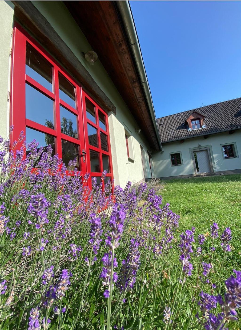 Apartmany Penzion Katerina Nadejkov Bagian luar foto