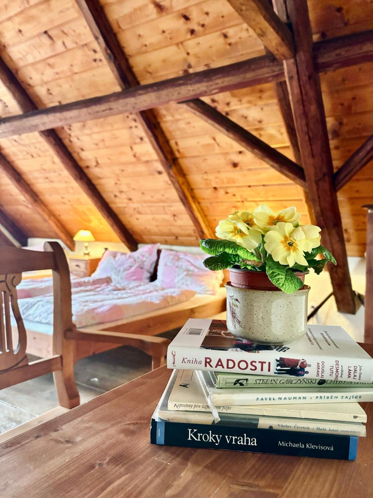 Apartmany Penzion Katerina Nadejkov Bagian luar foto