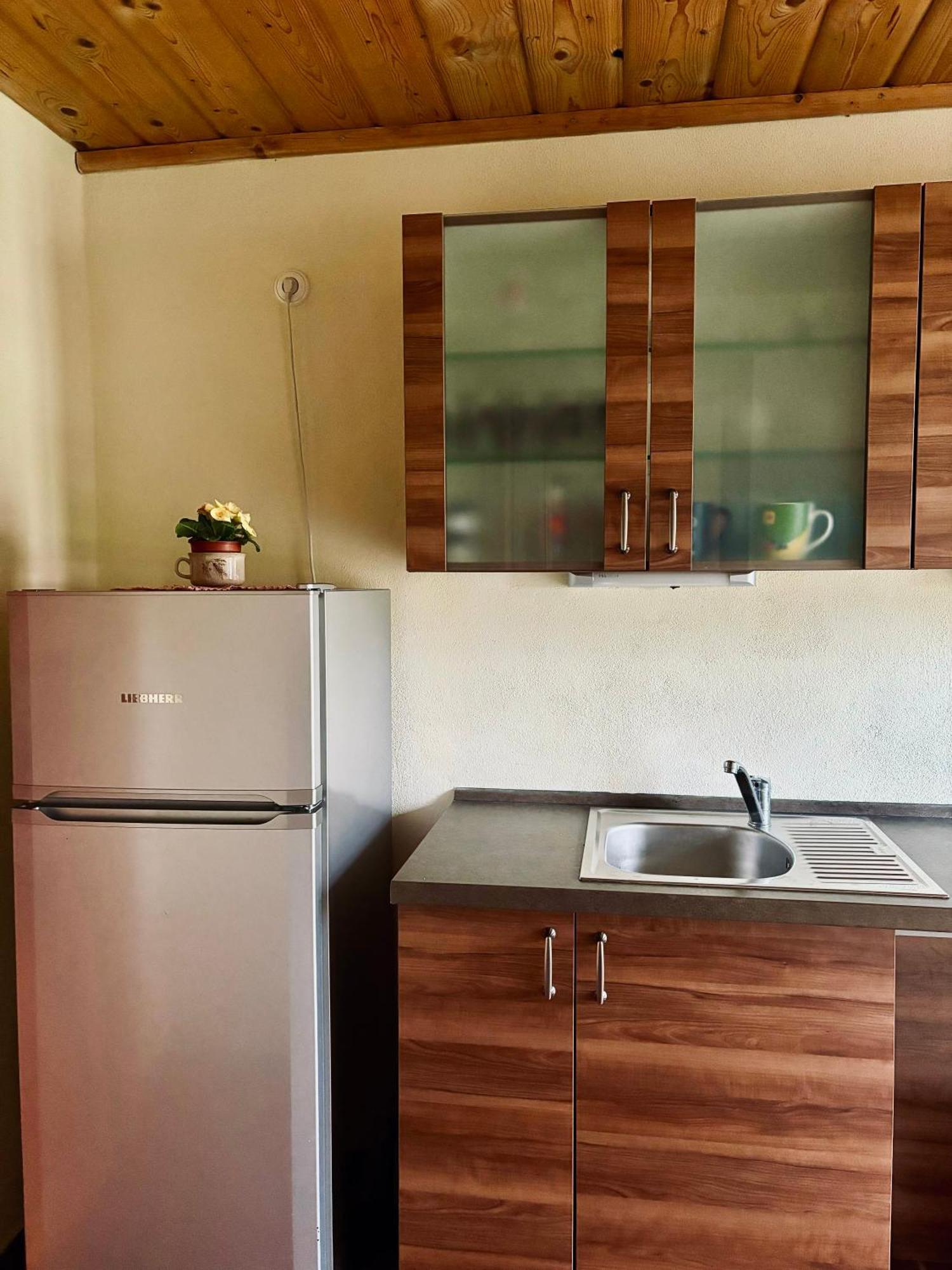 Apartmany Penzion Katerina Nadejkov Bagian luar foto